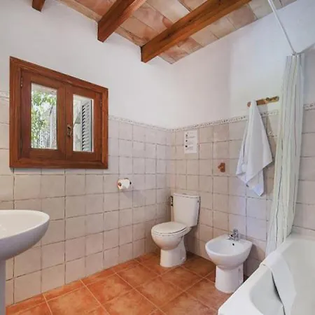 Palmeras Villa Pollença