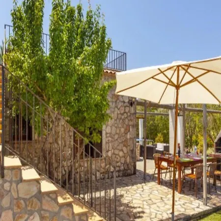Palmeras Villa