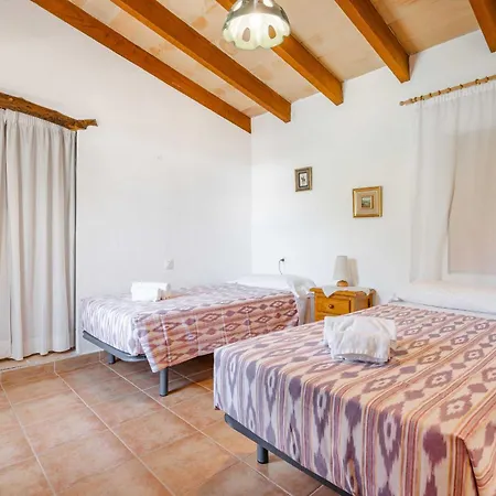 Palmeras Villa Pollença
